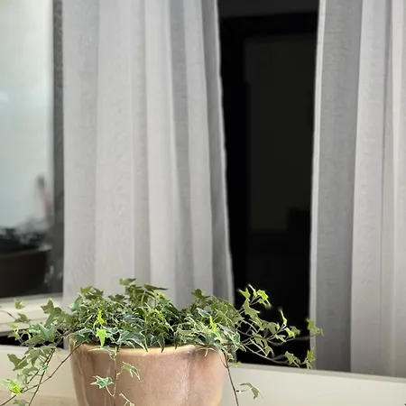 Apartment Bonbon 1 *
